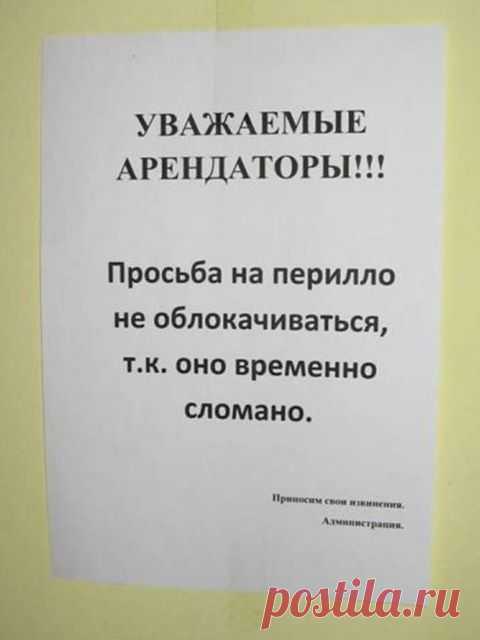 Наталья Белюшина:  Торжество абырвалга – Наталья Белюшина – Блог – Сноб