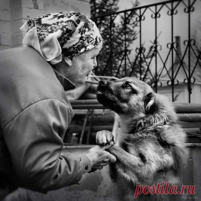 Разные истории. В ГОСТЯХ У АНГЕЛА.