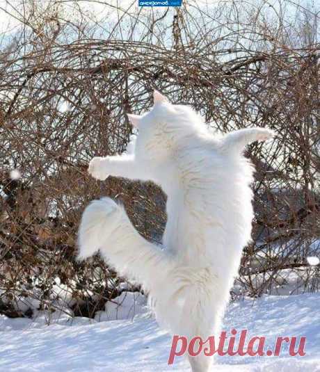 "Ура! Весна!" / Лучшие картинки