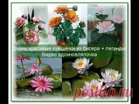 The best water lilies. Очень красивые кувшинки из бисера + легенды