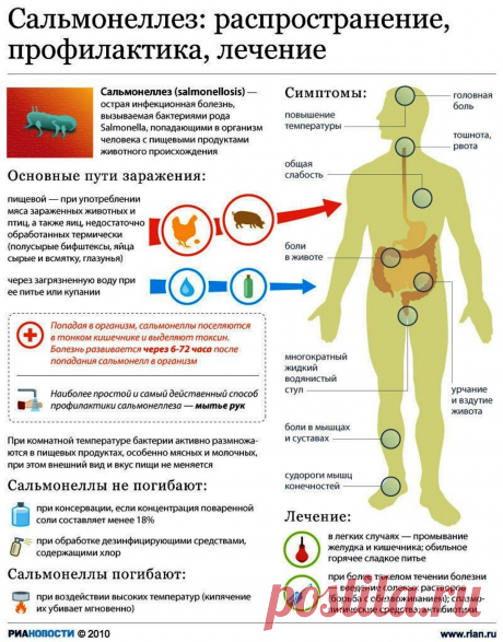 Сальмонеллез: распространение, профилактика, лечение