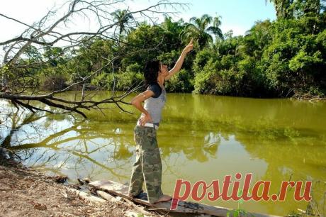 Как предсказать клёв без интернета – 8 надёжных дедовских примет | Рыбалка для людей | Яндекс Дзен