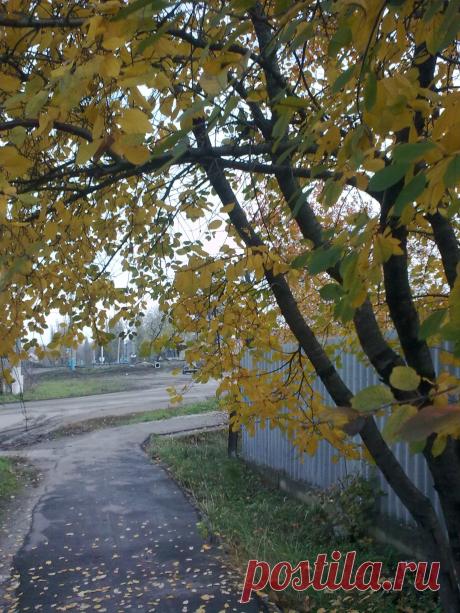 Что ты,осень,рано в гости к нам пришла.