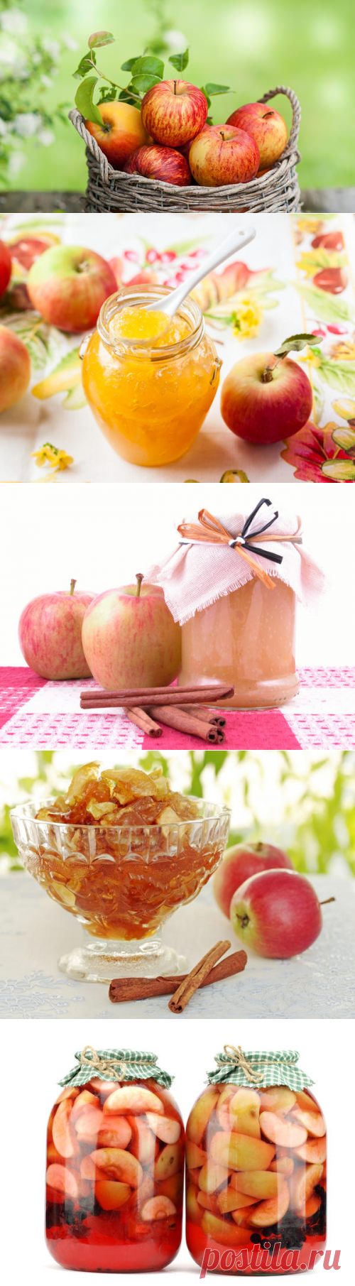 Яблоки на зиму: 12 беспроигрышных способов заготовки