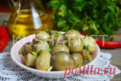 Маринованные шампиньоны быстрого приготовления. Пошаговый рецепт с фото - Кушать нет