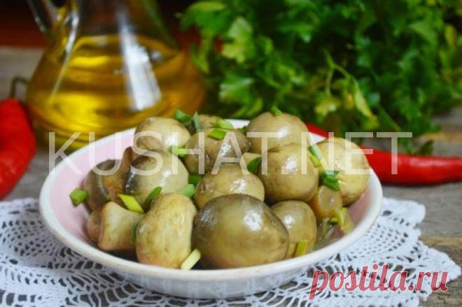 Маринованные шампиньоны быстрого приготовления. Пошаговый рецепт с фото - Кушать нет