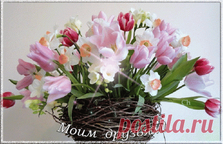 img_e3e2dfafd3de2911338b54db73b333ea.gif (805×519)