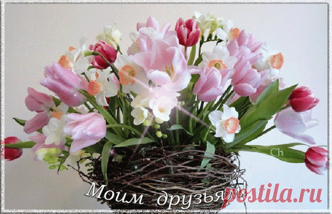 img_e3e2dfafd3de2911338b54db73b333ea.gif (805×519)