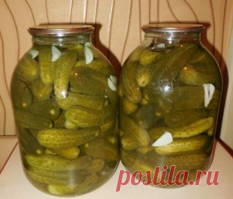 Вкусные хрустящие маринованные огурцы с медом на зиму Вы поняли, заготовка на последнем дыхании!!
Небольшие консервированные зелененькие огурчики с симпатичными пупырышками – любимая зимняя закуска у моих домочадцев. В последние годы всем другим заготовк…