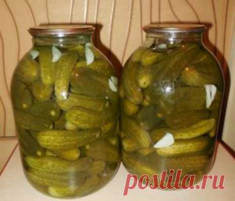 Вкусные хрустящие маринованные огурцы с медом на зиму Вы поняли, заготовка на последнем дыхании!!
Небольшие консервированные зелененькие огурчики с симпатичными пупырышками – любимая зимняя закуска у моих домочадцев. В последние годы всем другим заготовк…