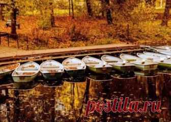 Этой осенью (Дикая Собака Динго) / Стихи.ру