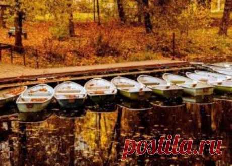 Этой осенью (Дикая Собака Динго) / Стихи.ру