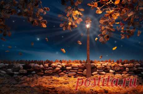 Carl Warner. Autumn-Flakes