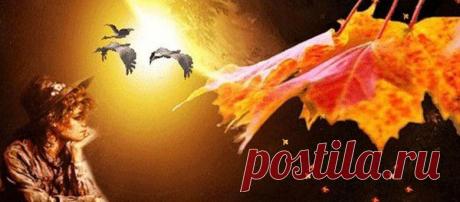 Молодежь по своей наивности (так уж устроен наш человеческий разум) считает себя, по меньшей мере, на десять-пятнадцать лет моложе и здоровее, чем это есть на самом деле. Такого плана иллюзия возникает еще потому, что наше тело разрушается постепенно, но это разрушение проще всего замедлить еще в молодые годы.