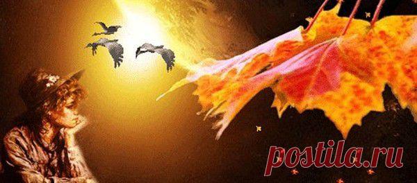 Молодежь по своей наивности (так уж устроен наш человеческий разум) считает себя, по меньшей мере, на десять-пятнадцать лет моложе и здоровее, чем это есть на самом деле. Такого плана иллюзия возникает еще потому, что наше тело разрушается постепенно, но это разрушение проще всего замедлить еще в молодые годы.