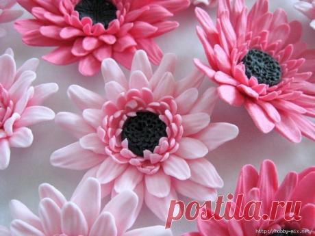 Kommentare zum Thema