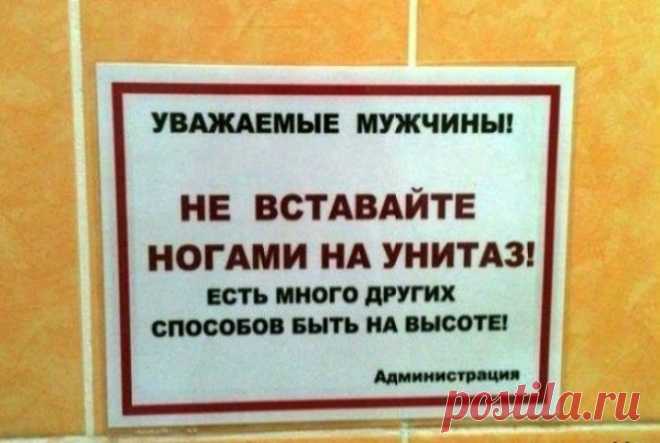 23 очень смешных объявления, которые поражают своей убедительностью