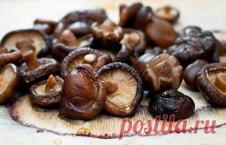 Štai kaip teisingai ruošti grybus maistui. Būtina žinoti! Grybų paruošimas maistui - patiekalas, kurį nesunkiai pasigaminsite pagal šį receptą. Daug gerų, išbandytų receptų, kuriuos privalai išmėginti!