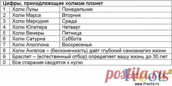 ХИРОМАНТИЯ И НУМЕРОЛОГИЯ ВЛИЯНИЕ ЦИФР НА СУДЬБУ ЧЕЛОВЕКА - Форум