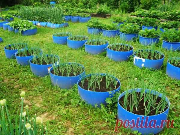 Огород без хлопот