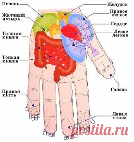 Как определить болезни человека по рукам | Тайцзи