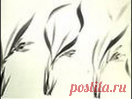 Orchid dancing for Sumi-e Line Study - YouTube