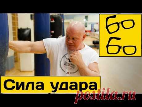 Сила удара — популярные заблуждения. Павел Бадыров о сильном нокаутирующем ударе и формуле силы