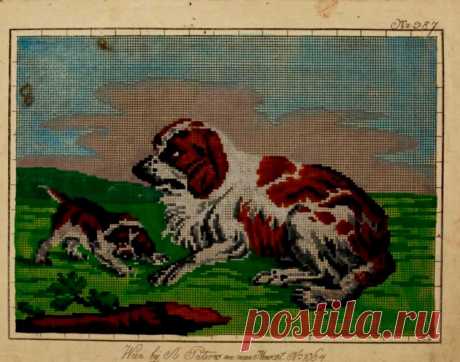 (7) Gallery.ru / Фото #5 - Ретро зоопарк - bdancer