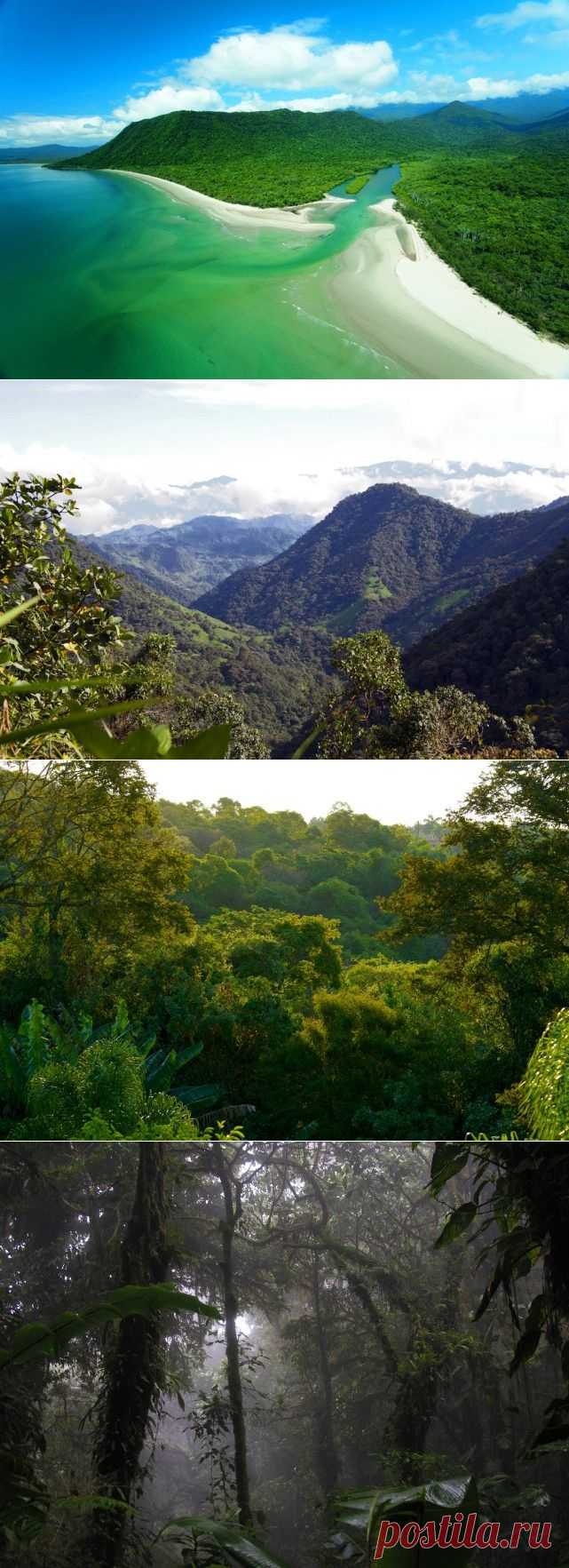 Самые красивые леса / Туристический спутник