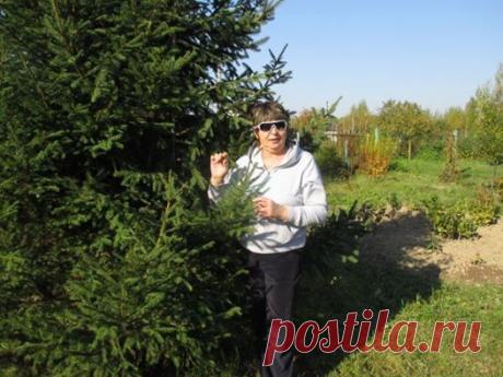 (4) Комитет Лесного Хозяйства