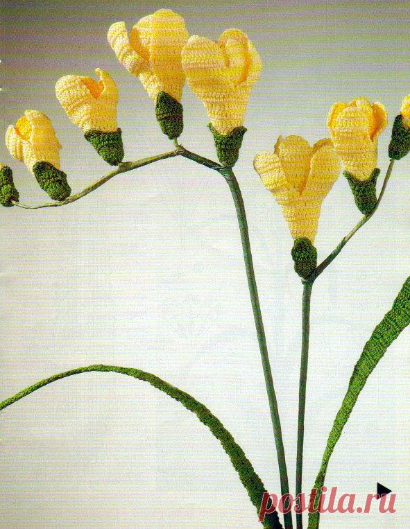 вязаная фрезия