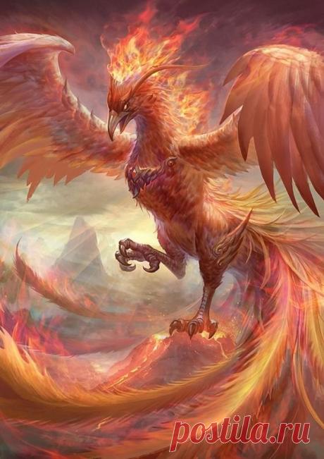Here ♥ Be ♥ Dragons: Photo
