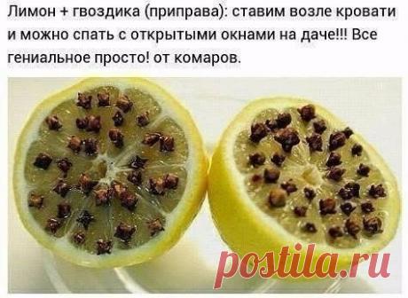 Как избавиться от комаров