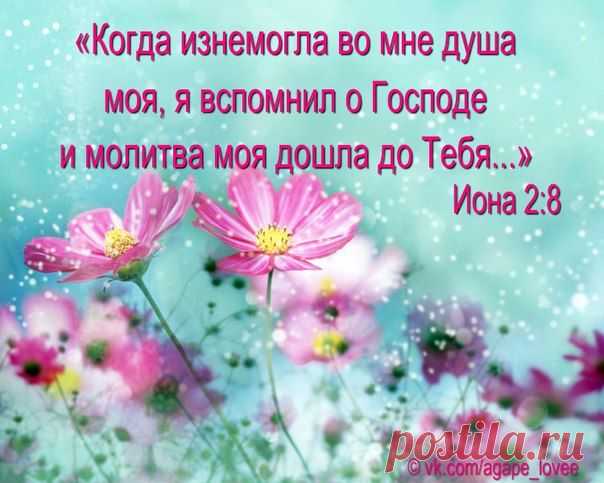 ♥...Агапэ...♥
