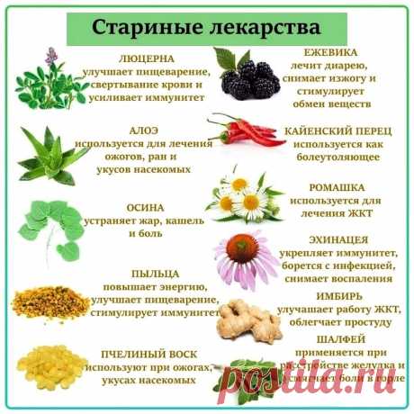 Старинные лекарства
