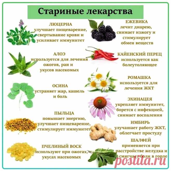 Старинные лекарства