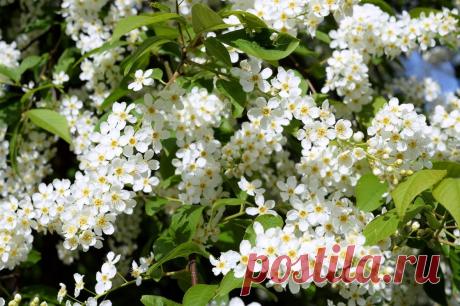 Просыпается жизнь...