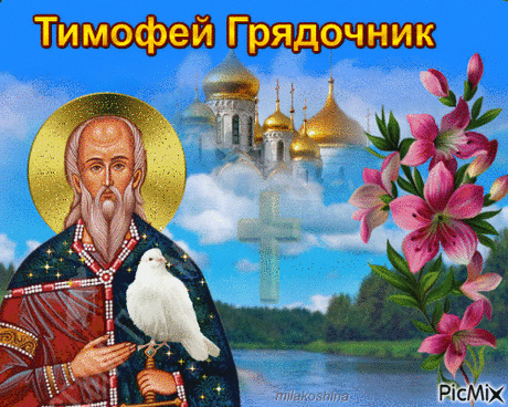 Желаю радости и света,
Хорошего иммунитета,
Прекрасных солнечных деньков,
Улыбок, нежности, цветов!