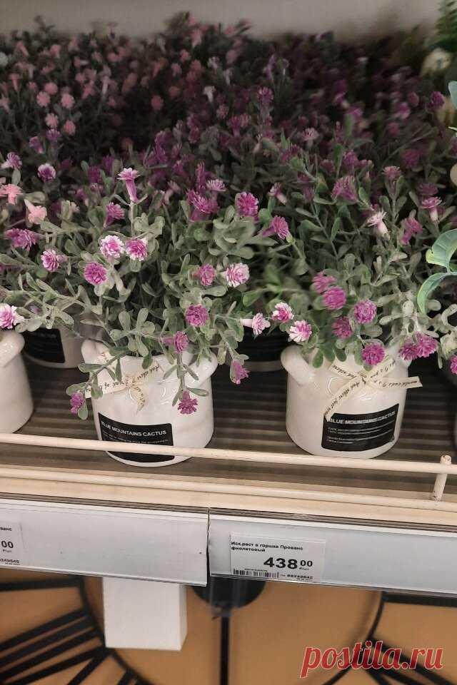 Выбрала разнообразные товары для дома в 