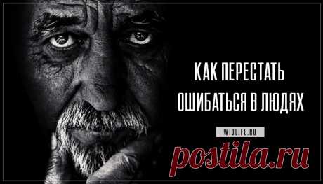 "Научись разбираться в людях". Потрясающе мудрая притча
