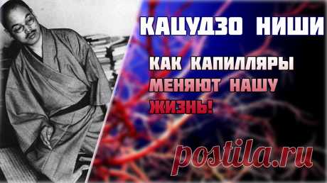 НЕВЕРОЯТНЫЕ ОТКРЫТИЯ о ваших КАПИЛЛЯРАХ: Как Кацудзо Ниши МЕНЯЕТ ИГРУ!