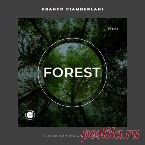 Franco Ciamberlani – Forest [EDR250]