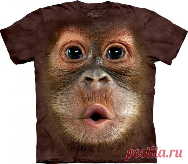 Арт №103587
Футболка  3D The Mountain Classic  - Big Face Baby Orangutan
Бесшовная
футболка -варенка
100% хлопок
Размеры Детские S, M, L,XL  +  Взрослые  S, M, L,XL, XXL, XXXL, ХXXXL
Рисунок нанесен красками на водной основе. Не выгорает, не тянется