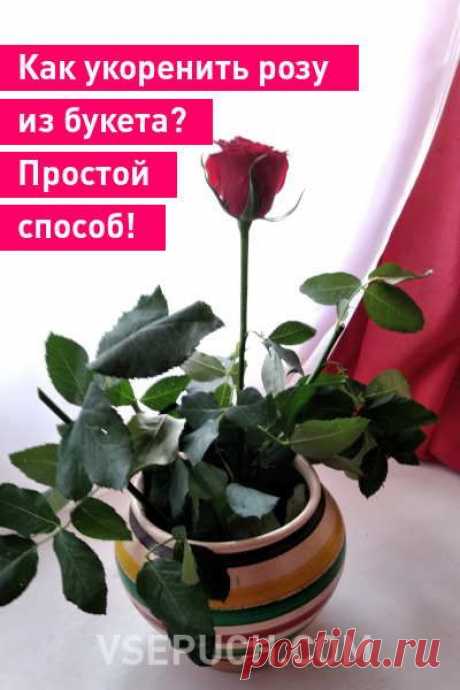 (16) Pinterest