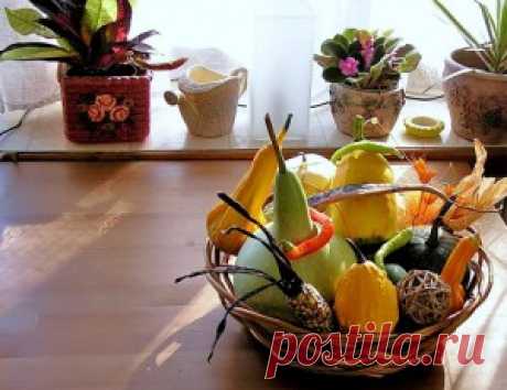 Лучшие комнатные растения для кухни | Роскошь и уют