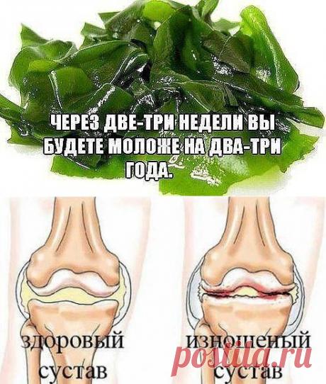 Ламинария как маска