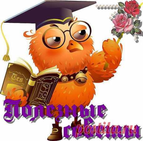 Правила ухода за растениями,цветущими в холода!