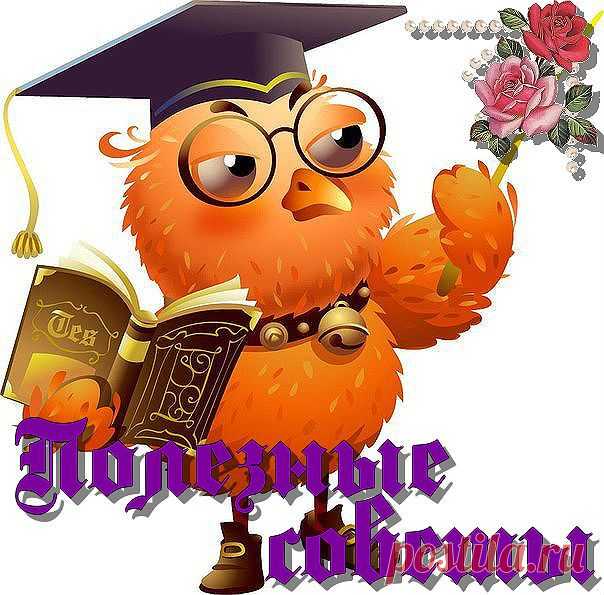 Правила ухода за растениями,цветущими в холода!