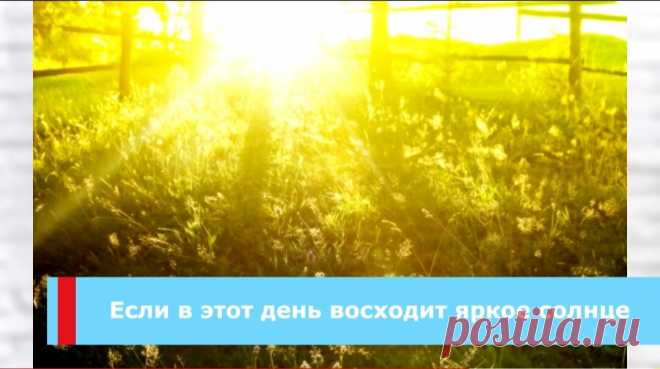 По народным приметам 12 мая день девяти целителей. Запасаемся здоровьем на целый год. Что принято сажать в этот день? | НАРОДНЫЕ ПРИМЕТЫ И ТРАДИЦИИ. | Яндекс Дзен
