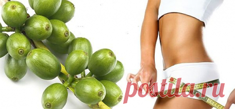 Green coffee – очередной миф или действительно эффективное средство?.